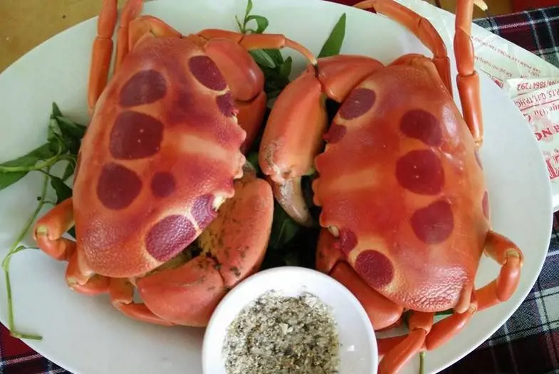Hai con cua mặt trăng đã chế biến là đặc sản Côn Đảo.