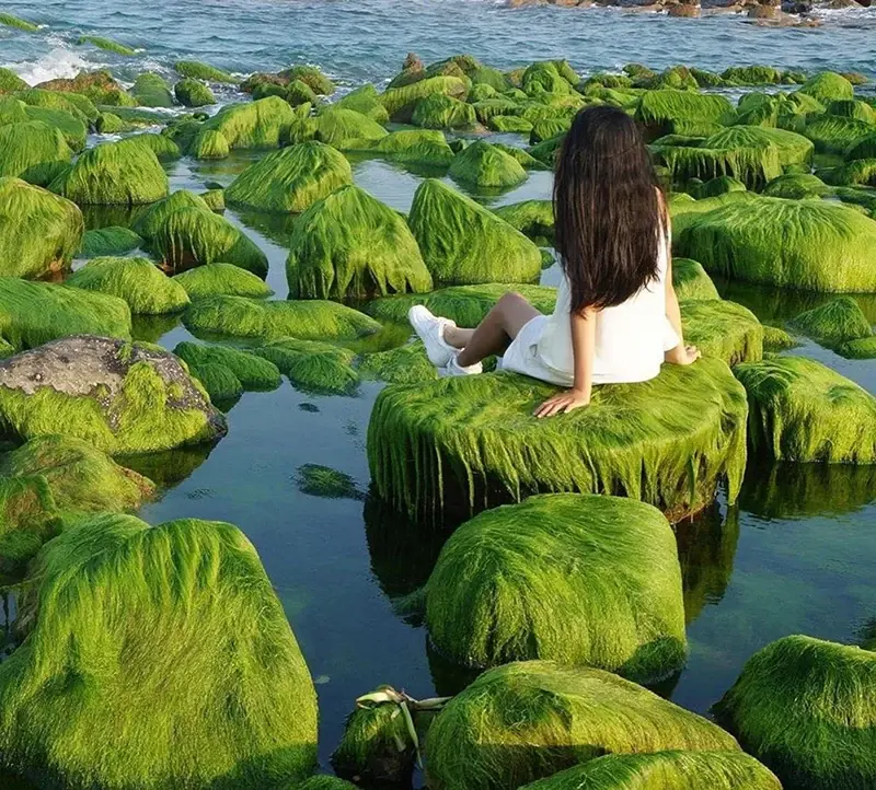 Rạn Nam Ô (còn gọi là bãi rêu Nam Ô)